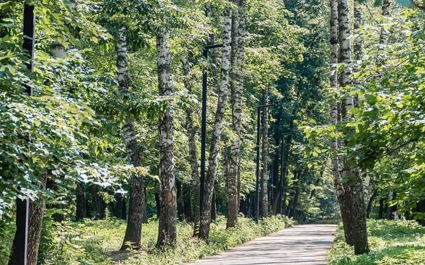 К парку имени Белякова в Рязани присоединили территории