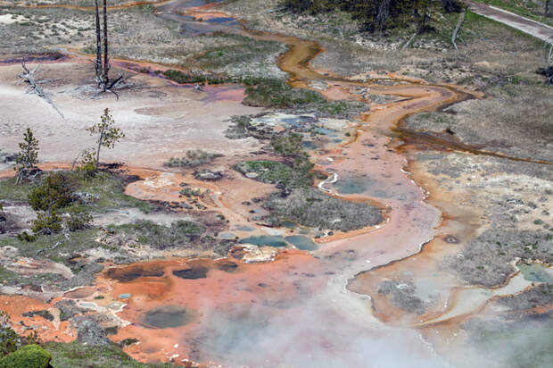 Йеллоустоун (Yellowstone)