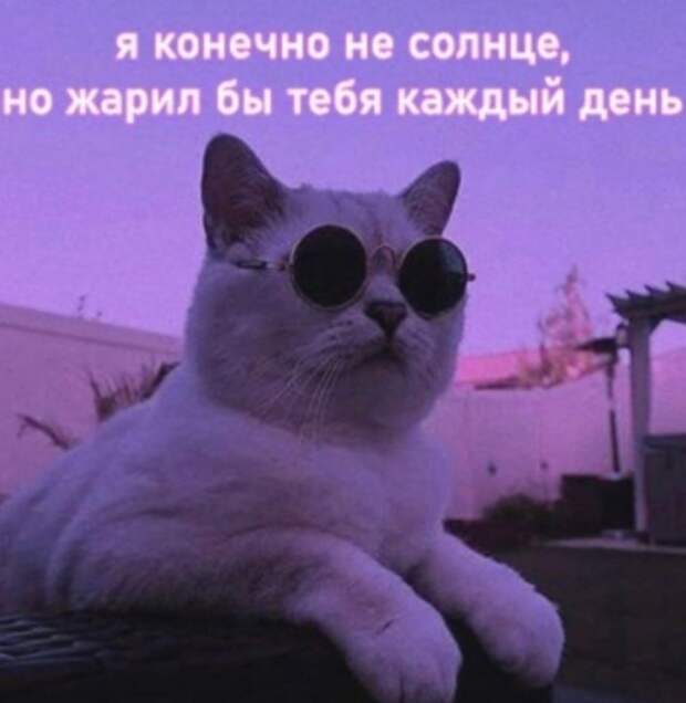 Откройте свои смешные крылья: наши картинки с надписями привлекут ваш смех и радость!