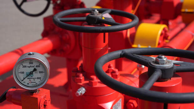 В Сербии признали выгоду от получения газа из России