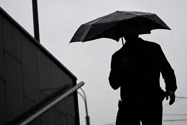 Москву накроют дожди и туман