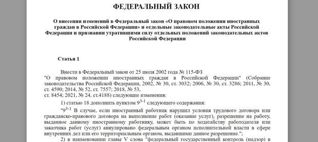 ДЕПУТАТСКИЙ САБОТАЖ ПРИВЕЛ К РУССКОМУ БУНТУ: ХРОНИКА МИГРАНТСКОГО БЕСПРЕДЕЛА ПОХОЖА НА АД