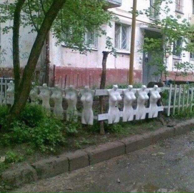 Источник https://twitter.com/botanicivic/status/925745828806963200/photo/1