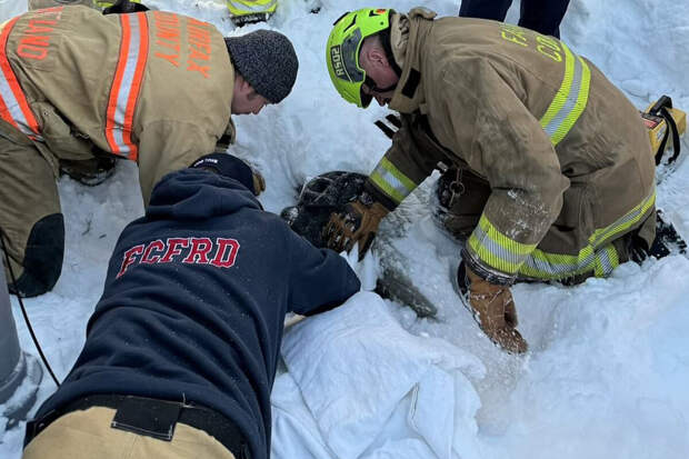 В США пожарные спасли школьника, провалившегося в канализацию