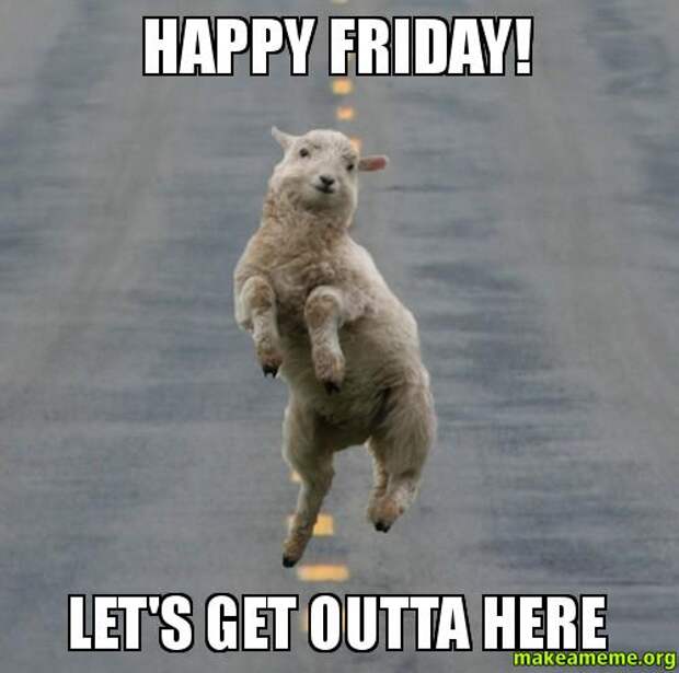Friday memes