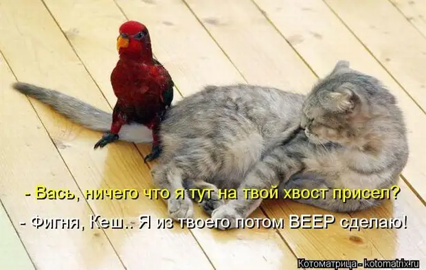 Мысли вслух :) 23 пушистые мыслишки