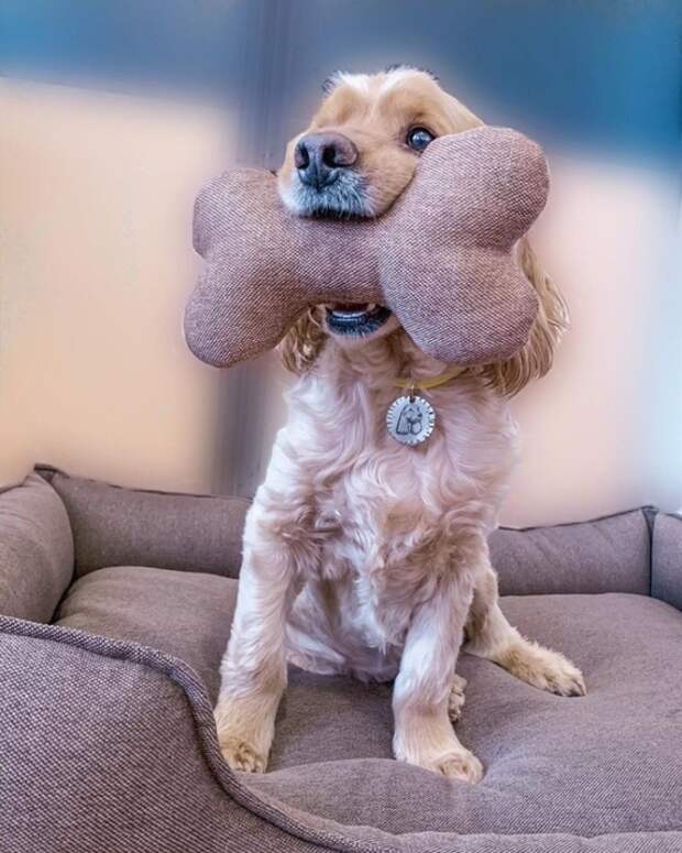 iLFlf9RI5ww (560x700, 257Kb)