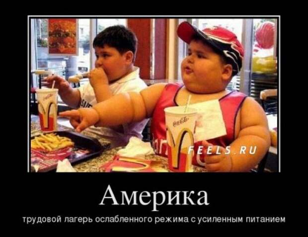 Убойные демотиваторы (24 шт)