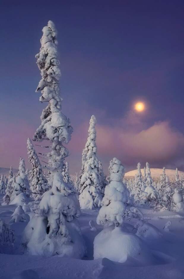 https://photo-monster.ru/content/books/572/44.jpg