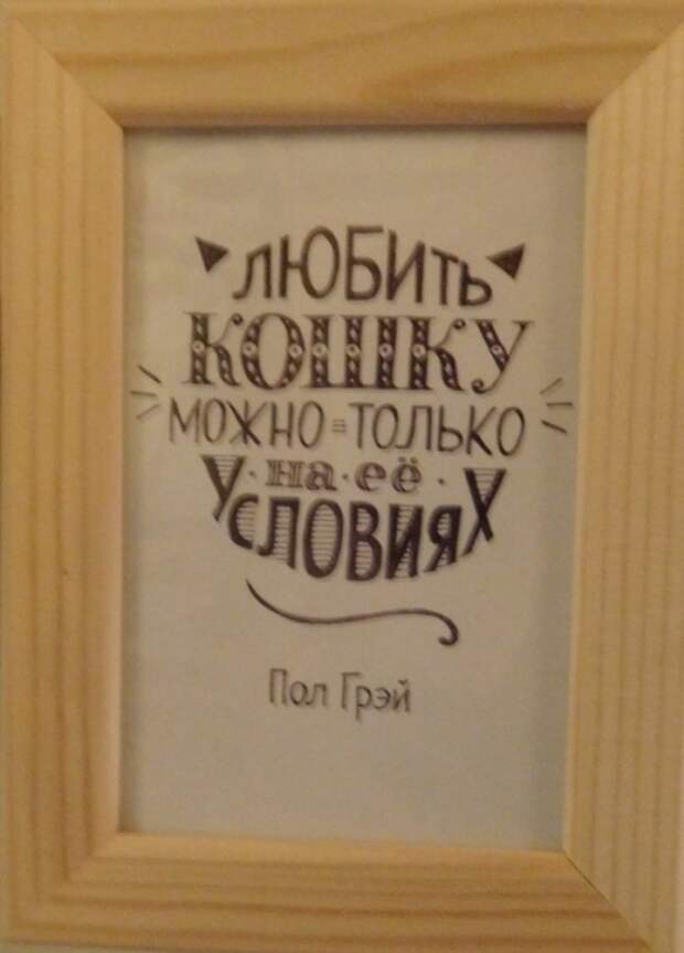 Котокафе в Калуге, для тех кому некуда девать нежность Котокафе в Калуге, для тех кому некуда девать нежность