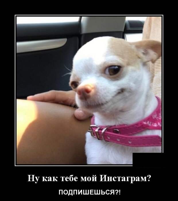 Демотиваторы
