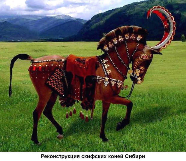 установлено, что скифы активно занимались селекцией лошадей, специально улучшали породу и следили за признаками вырождения