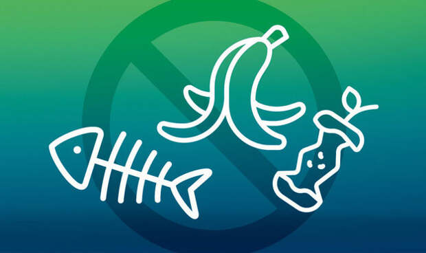 Ничего не выбрасывайте! Что приготовить из остатков пищи вкусного?