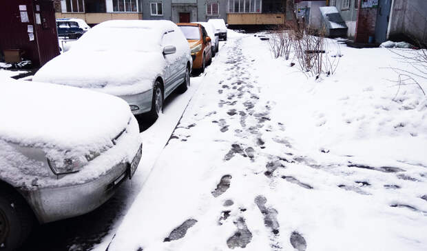Синоптики рассказали о погоде в предстоящие выходные в Петрозаводске