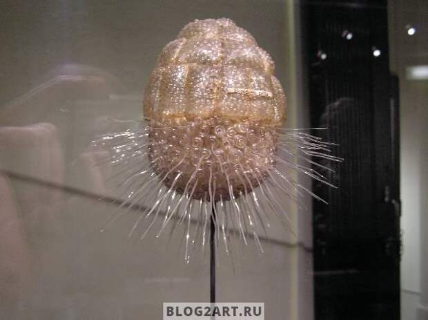 JellyFish007