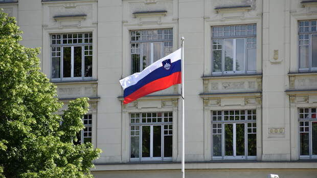 На выборах в Словении лидирует оппозиционная партия SDS