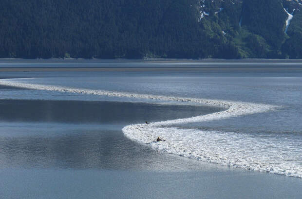 Байдарочники ловят приливную волну, Анкориджа, Аляска