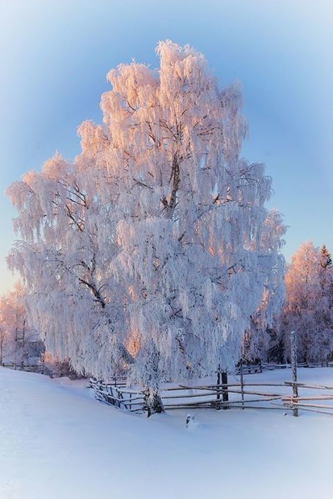 Красоты России (#389)