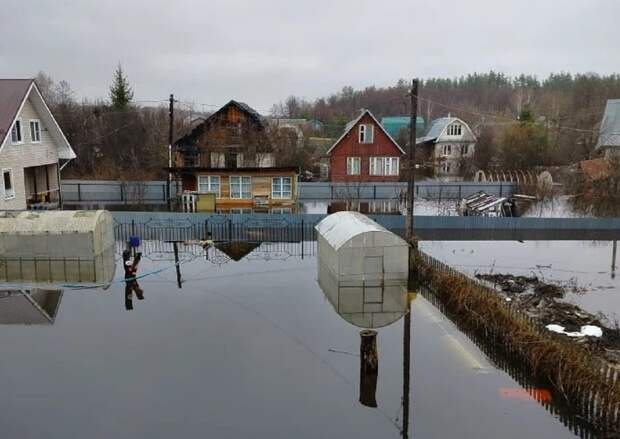 Садовое товарищество на Бору ушло под воду из-за паводка