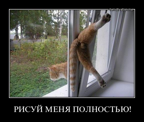 Немного новых демотиваторов