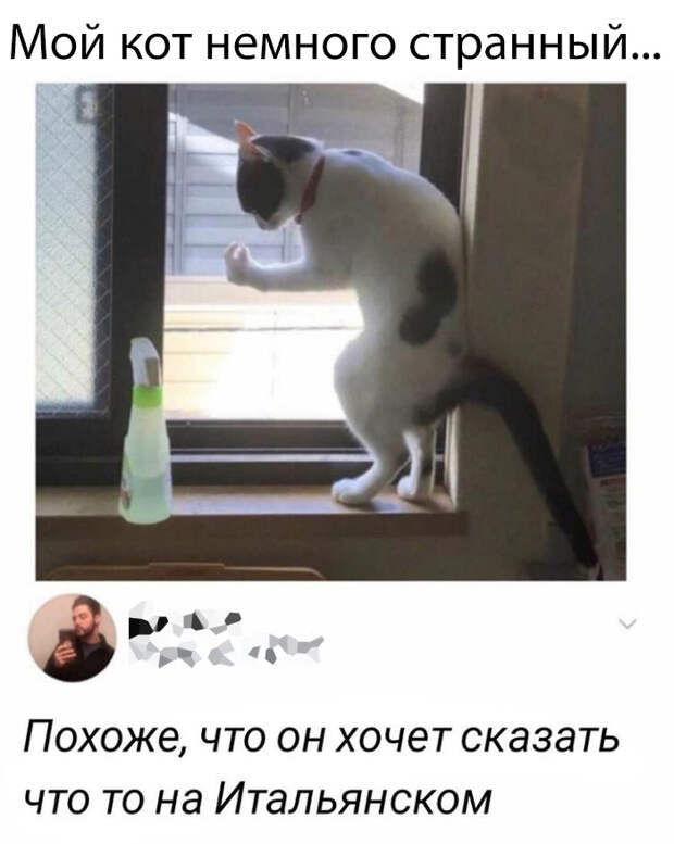 Подборка картинок. Вечерний выпуск (30 фото)