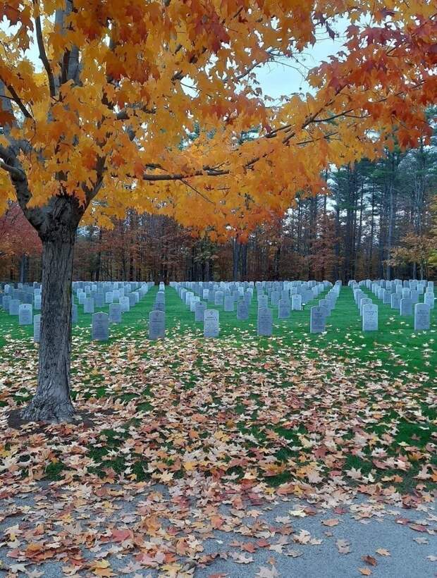 Кажется, что это не реальное фото, а коллаж