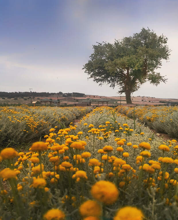 Nature  by Selim Yavuz on 500px.com