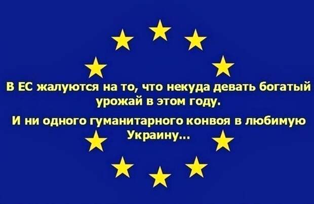 Мысли, фразы, настроение... 