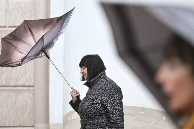 Дептранс посоветовал москвичам пересесть на общественный транспорт из-за снега