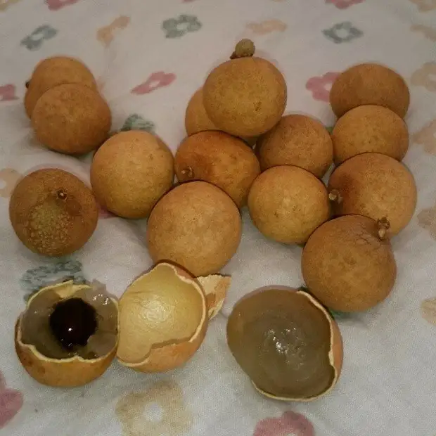 22 фрукта, которых многие никогда не пробовали