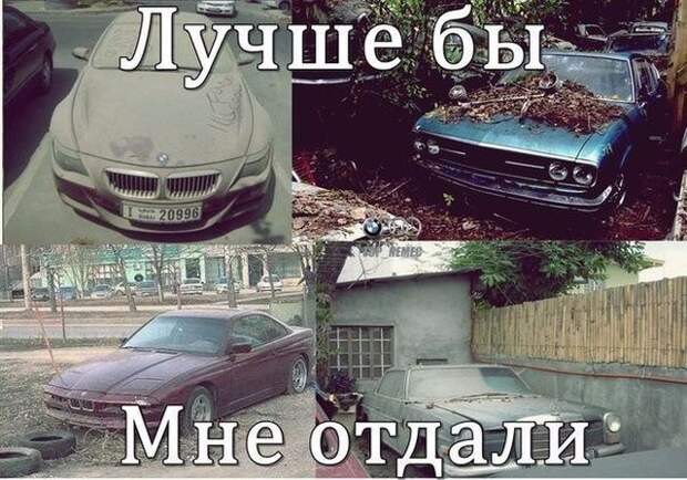 Смешные картинки с подписями (20 картинок)