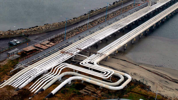 Фицо: Словакия готова на крайние меры в борьбе с Зеленским за поставки топлива