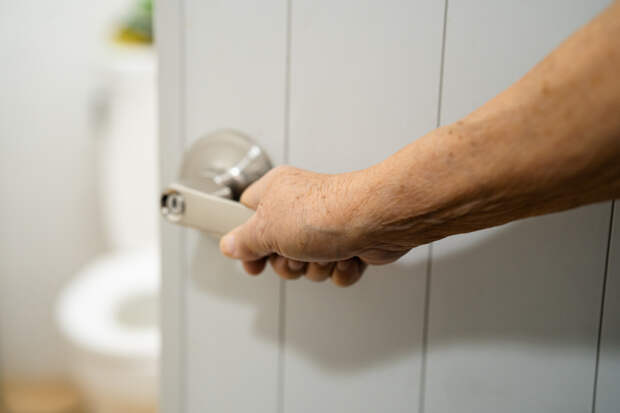 Назван неожиданный фактор регуляции работы кишечника