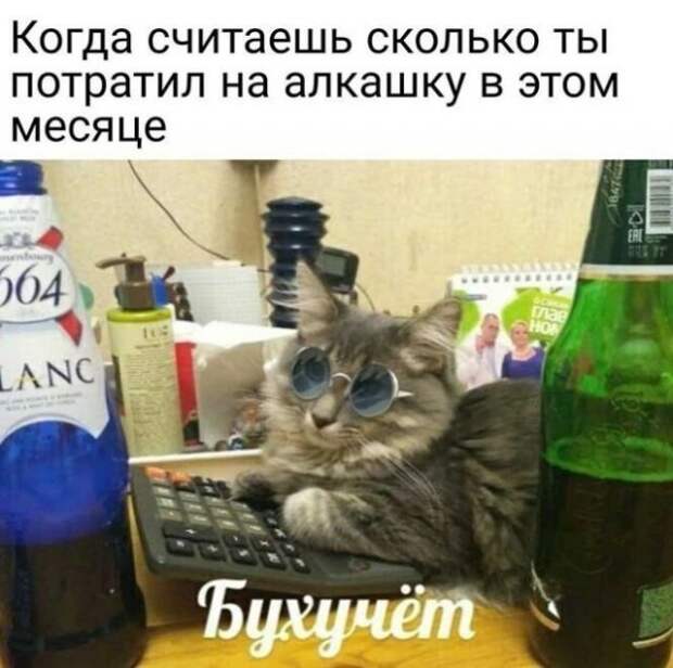 Приколы и мемы про алкоголь