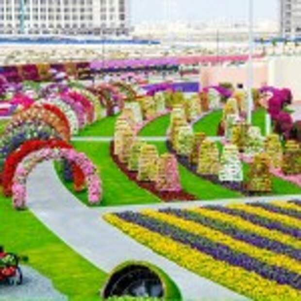 Dubai Miracle Garden