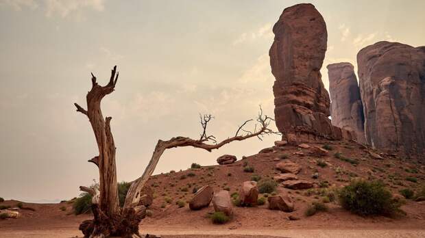 Почему появляются песчаные бури: простое объяснение для детей