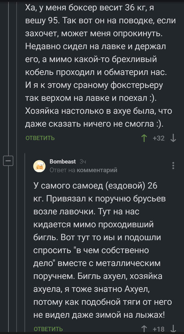 О собаках О собаках