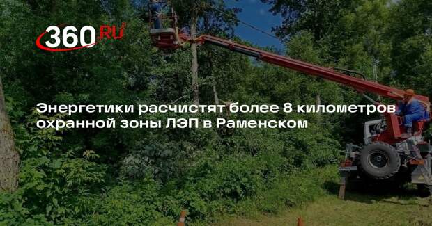 Энергетики расчистят более 8 километров охранной зоны ЛЭП в Раменском