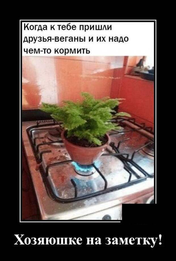 demotivatory-demotivator-smeshnye-demotivatory-demotivator-so-smyslom