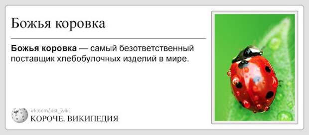 Очень конкретная Википедия 
