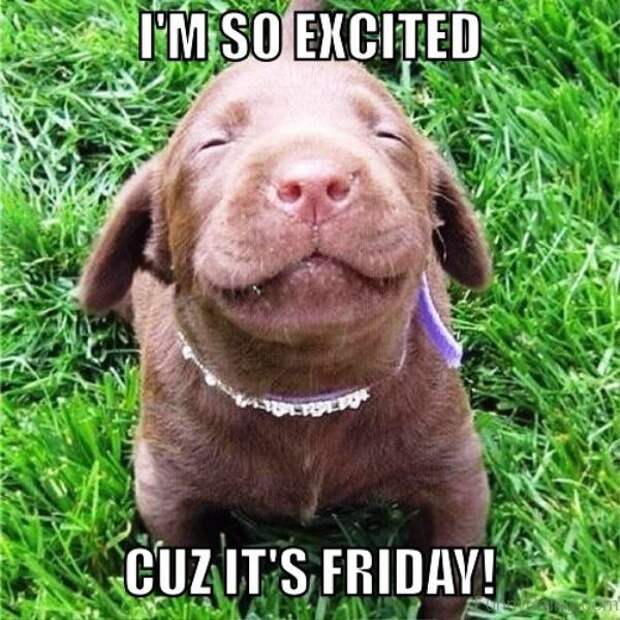 Friday memes