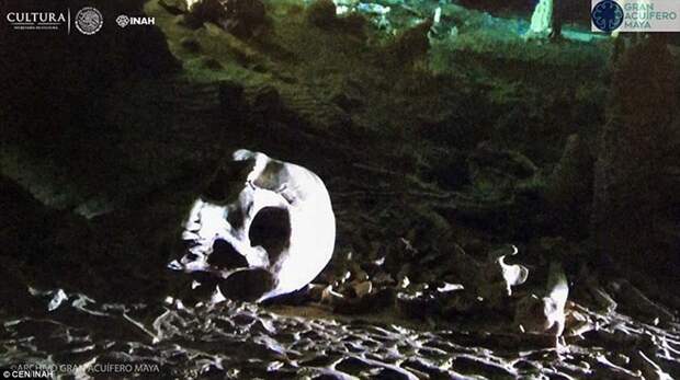 Ценные находки были сделаны в крупнейшей в Мексике системе подводных пещер Сак-Актун водолазы, древний человек, интересное, мир, находка, останки, скелет, фото