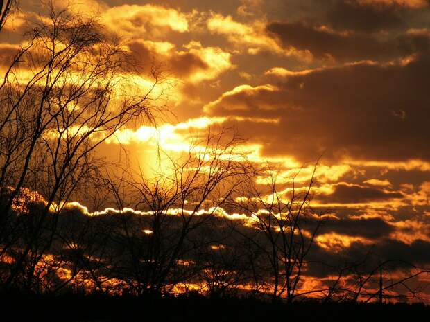 Ученые предупредили об опасном явлении на Земле