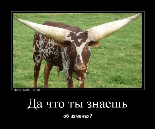 Демотиваторы...