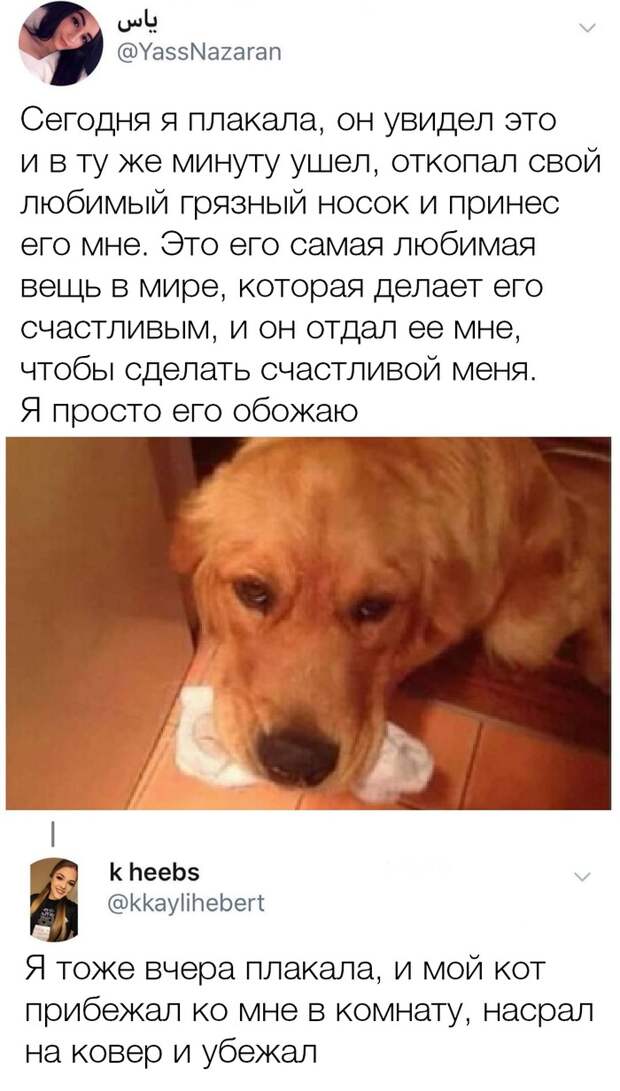 Так или иначе, плакать она перестала Так или иначе, плакать она перестала