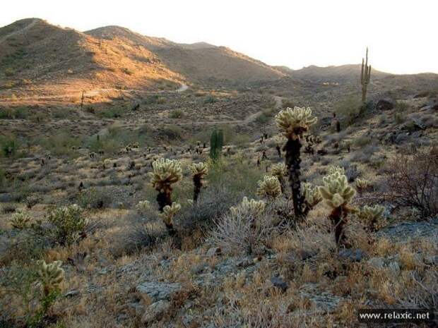 nature_055