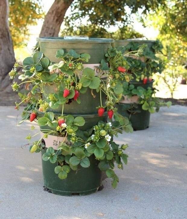 Крутых идеи для вкусного клубничного лета