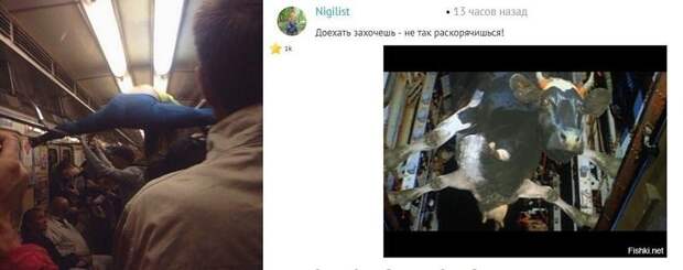 Картинки с надписями для настроения Картинки с надписями для настроения