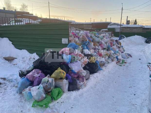 В Туле мусор не вывозят из-за нерасчищенных дорог, завалы выше человеческого роста