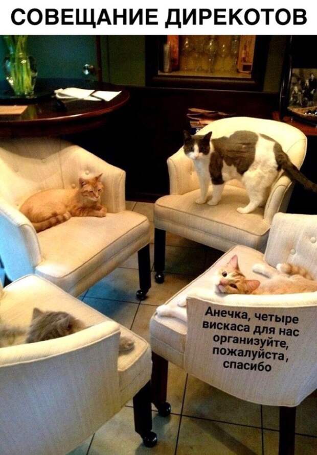 Подборка картинок. Вечерний выпуск (26 фото)